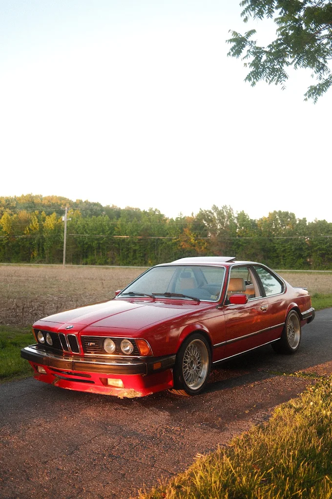 Enhanced Garage detailing, paint protection and wrap work — photo 66